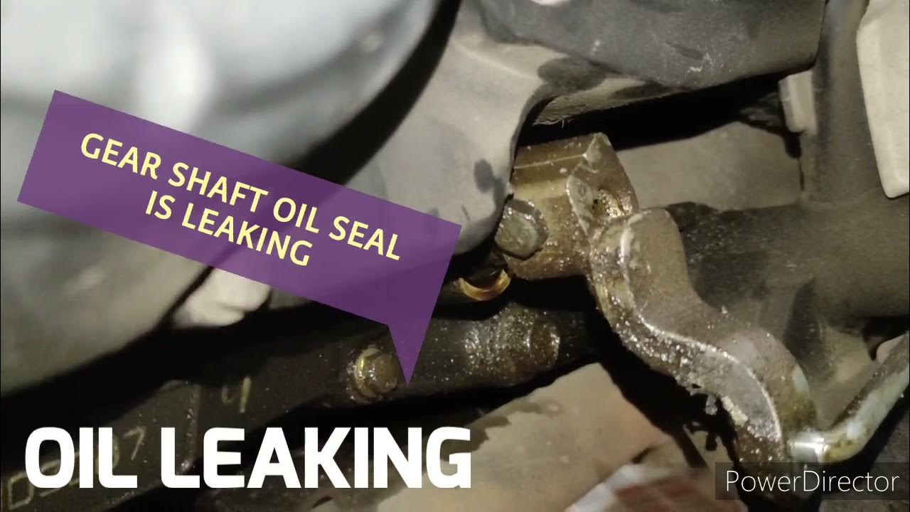 GEAR SHAFT OIL LEAK. Yamaha Fzs, Fz,.... etc YouTube