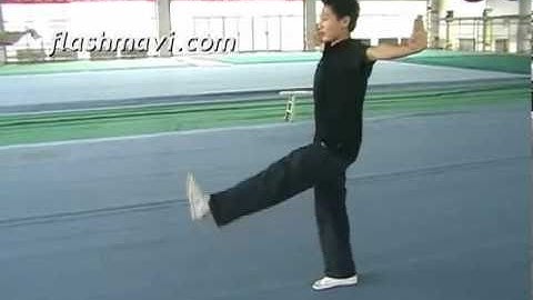 Zheng Ti - Wushu Instructions