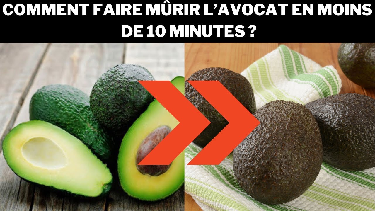 Comment Faire Murir Des Avocats A La Maison