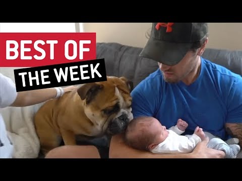 BEST OF THE WEEK - Nice To Meet You | This is Happening