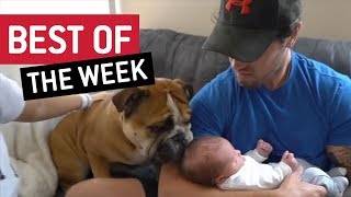 BEST OF THE WEEK - Nice To Meet You | This is Happening