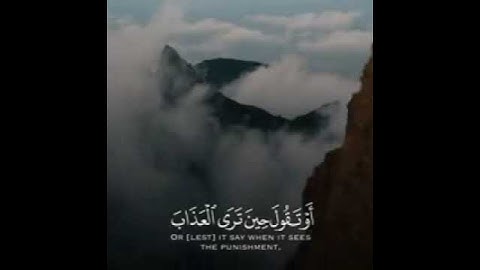 أجمل صوت لطمائنينة القلب من سورة الزمر 💜