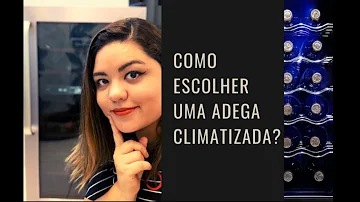 Como escolher uma adega para vinhos?