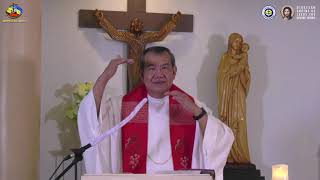 Symptoms of the Holy Spirit -- Homily By Fr Jerry Orbos SVD - May 23 2021 Pentecost Sunday