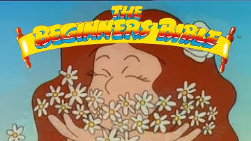 The Creation - The Beginner