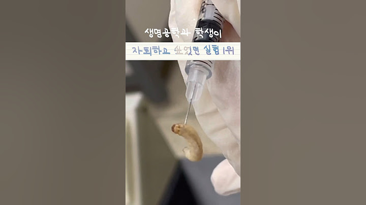 👩🏻‍🔬생명공학과 오고 싶다구? 이 영상보고 다시 생각해봐 😱 | 생명공학과 | 생명 실험 | Biotechnology