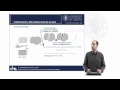 Diagramas de Aleaciones de Ingeniería. Microestructura de Aceros | 23/93 | UPV