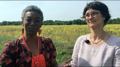 An introduction to the Greater Cambridge Local Plan