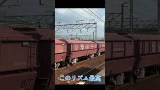 ジョイント音のリズムがよすぎる貨物列車 #鉄道 #ef210