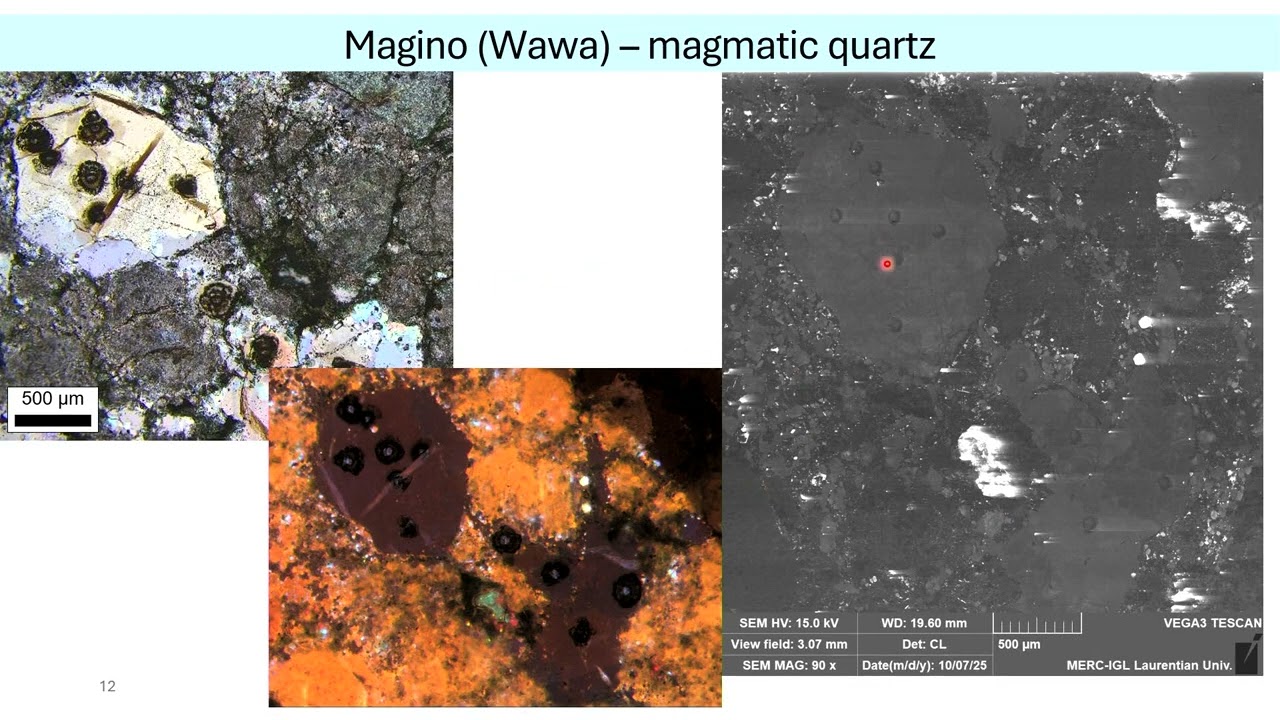 Theory & application of trace elements in quartz: Au settings, Superior Province