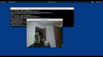 Head Pose Estimation, RaspberryPi4 CPU only 13 FPS, Tensorflow Lite, Integer Quantization, 720p disp