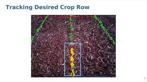 Talk by A. Ahmadi on Visual Servoing-based Navigation for Monitoring Row-Crop Fields (ICRA