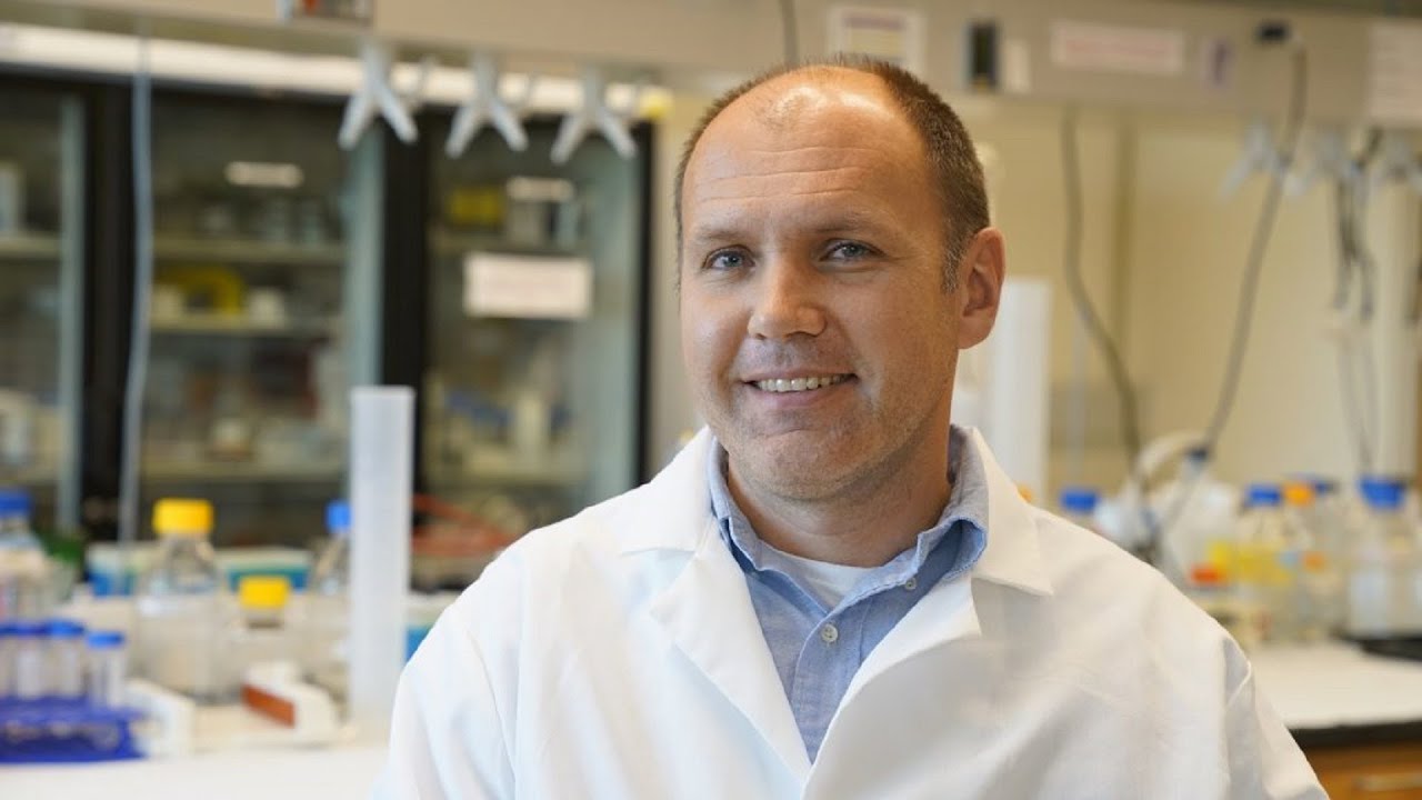 How to Reverse Diabetes Naturally: Zombie Cells & Sugar Defender Explained!