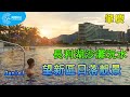 【大灣區生活】 肇慶長利湖沙灘玩水 | 望新區日落靚景