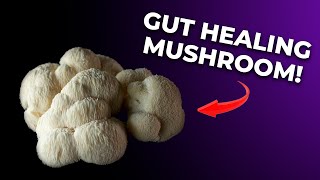 Thumbnail of the video “College of Naturopathic Medicine - The Most Effective Mushroom for the Gut!”