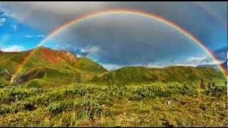 Look for Me in Rainbows (Vicky Brown)