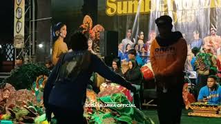 Gulu Pedotviral Tiktok Ceksound Rogo Samboyo Putro