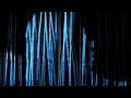 チーナ『テレビドラマ』Music Video