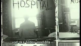 fotograf     robert frank    i  sverige