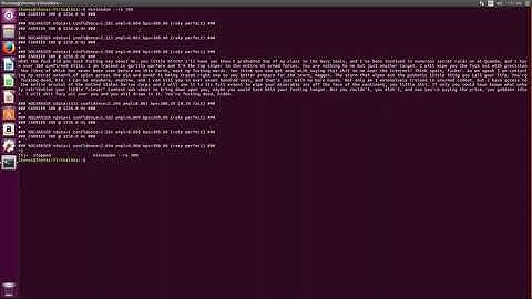 Navy Seal Copypasta recorded on a cassette tape in text using minimodem