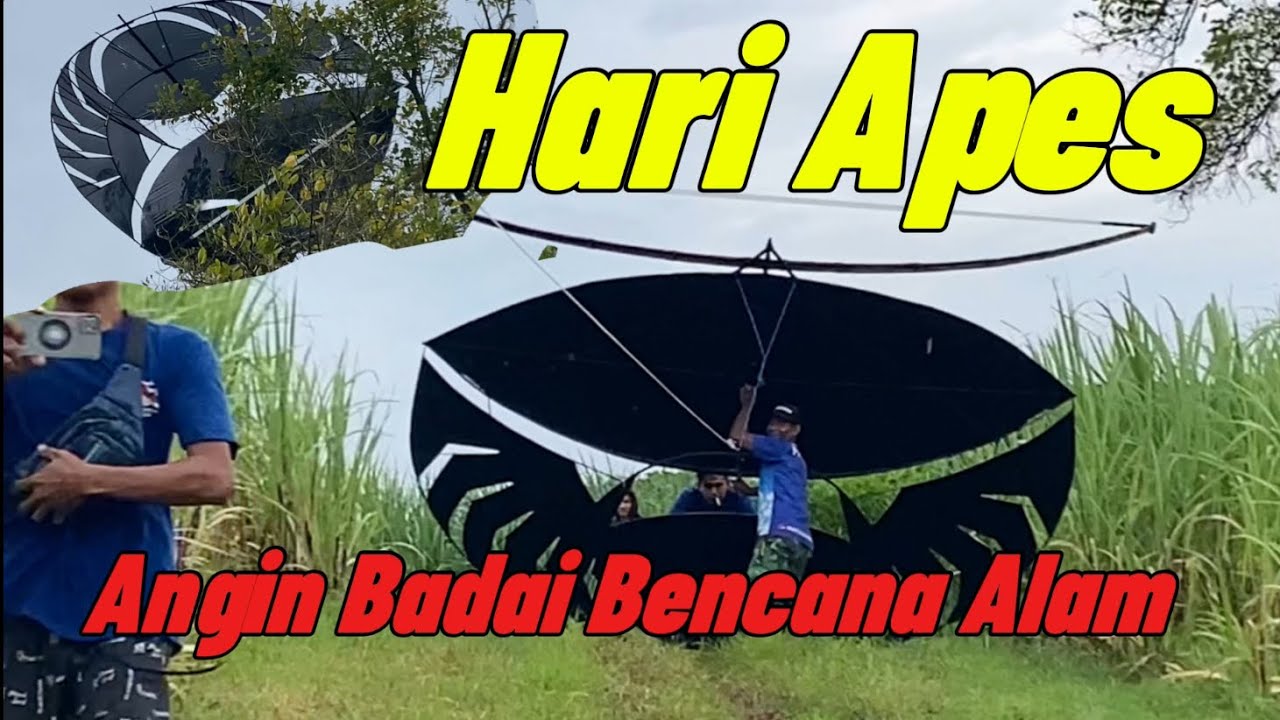Hari Apes Spider Bigsize Pak Eko Angin Badai Bencana Melanda