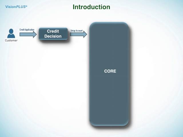 Credit Card Training - Credit Card Business & Vision Plus Introduction - Part 1 class=