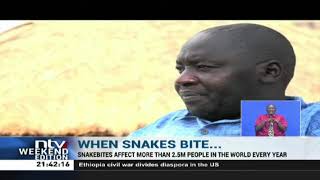 Baringo residents fight against snakebites