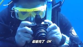 水没か？調子　悪いわ～　ダイビング和歌山南紀　田辺ダイビングサービス