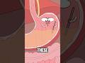 Your Life Matters: Hold On to Hope#animation #funny #shorts #health #trending