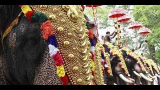 തൃശൂര്‍ പൂരം തിരുവമ്പാടി ഭഗവതിയുടെ എഴുന്നള്ളത്ത്  2024    /  Thrissur Pooram  2024  live
