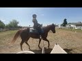 WDAA Online International Challenge 2025 Basic Test 2 Amateur 