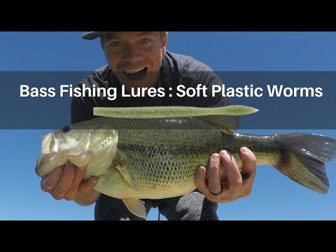 Bass Fishing Lures : Soft Plastic Worms 