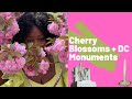 Cherry Blossoms | DC Monuments