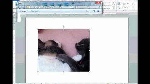 Create better Office 2010 documents, presentations, and workbooks more easily