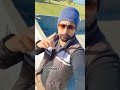 #song - Choga #punjabisinger - Jaiman Chamkila,Riya Sandhu