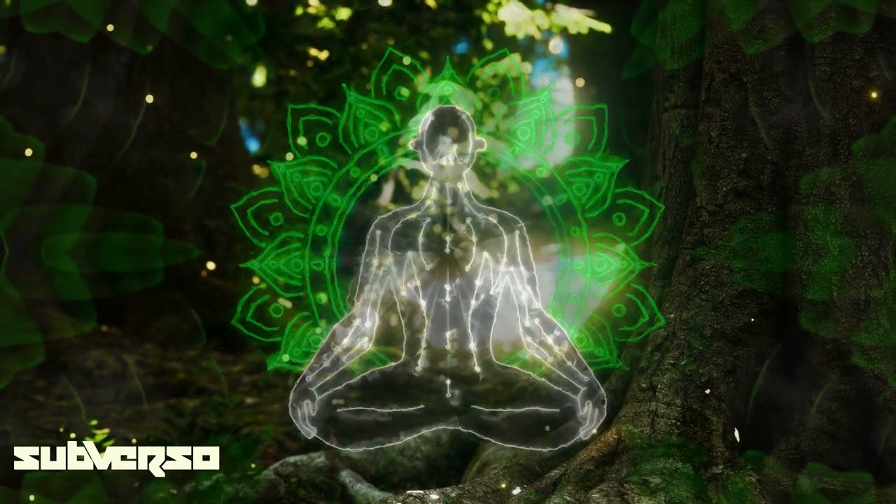 Twisted Sibling - Frequency Initiation (Subverso Rmx) | Snug as a Bug EP