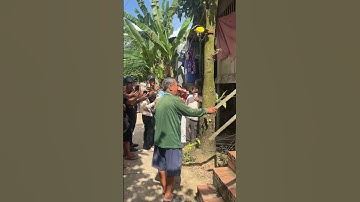 Quá Vui Mừng Chú Minh Đi Gặp Cô Giao #chuminh #cogiao #tamtrang