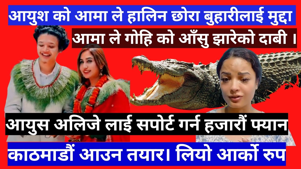 आयुस अलिजे लाई सपोर्ट गर्न हजारौं फ्यान काठमाडौं आउने तयारी बिबाद ले लियो अर्को रुप 😳#aayushalizeh 