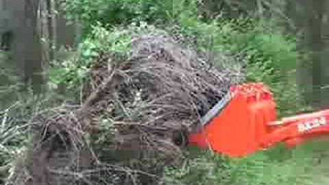 BXpanded Forks make quick work of a HUGE brush pile