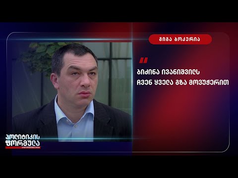 ბიძინა ივანიშვილს ყველა გზა მოვუჭერით - გიგა ბოკერია