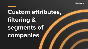 Custom attributes, filtering & segments of companies by user.com