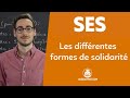 Les diffrentes formes de solidarit  ses  premire  les bons profs