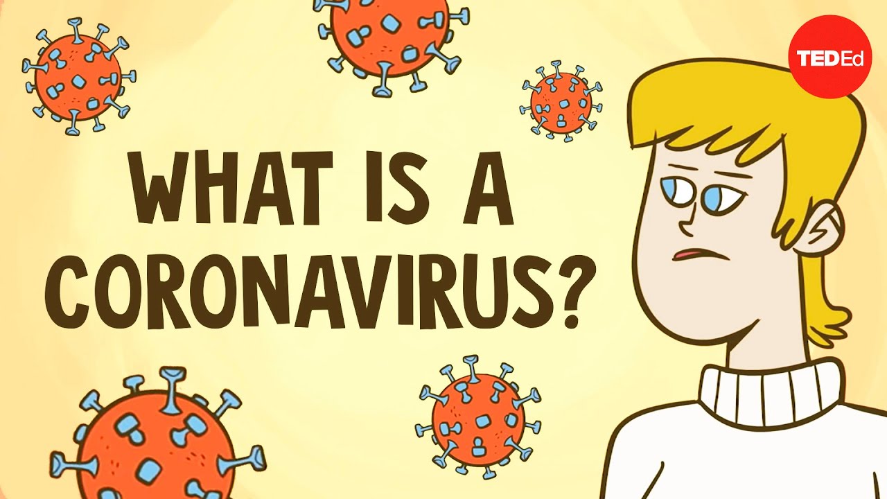 What is a coronvirus?