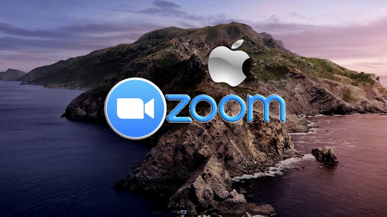 free zoom download for pc