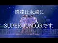 【SUPERJUNIOR】私達がエルプな理由　〜スジュが好きすぎるスジュお兄さんたち笑〜　日本語字幕