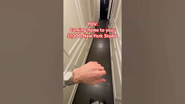 Tiniest Micro New York City Apartment!