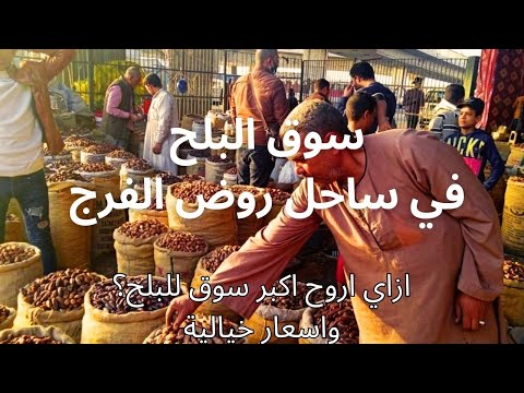 رمضان 2024 سوق البلح في ساحل روض الفرج       
