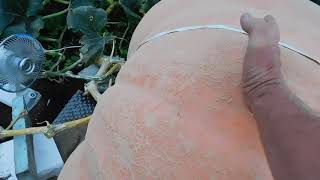 2,000 lb Pumpkin Mistakes I made