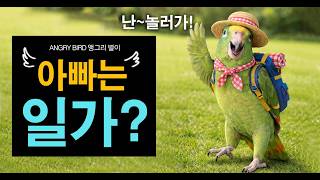 아빠는 일가? 나는 놀러가~! / 마당에서 놀다가 아빠한테 화남 ㅎㅎ  / 막말 / 앵무새가 개콘보다 더 웃기다!!  / 사람과 대화 가능앵무새 / ANGRY BIRD