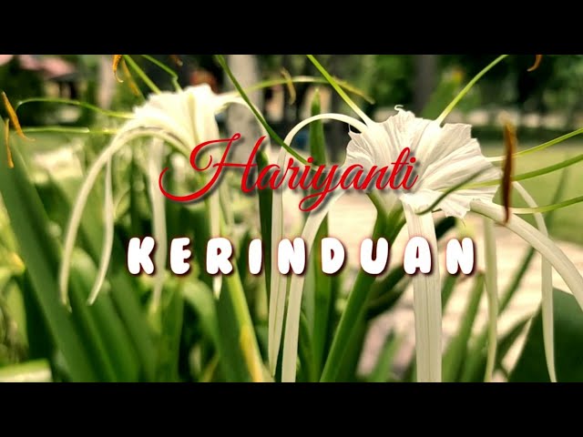 KERINDUAN cover BY_Hariyanti class=